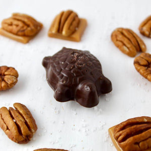 Sea Salt Pecan Turtle