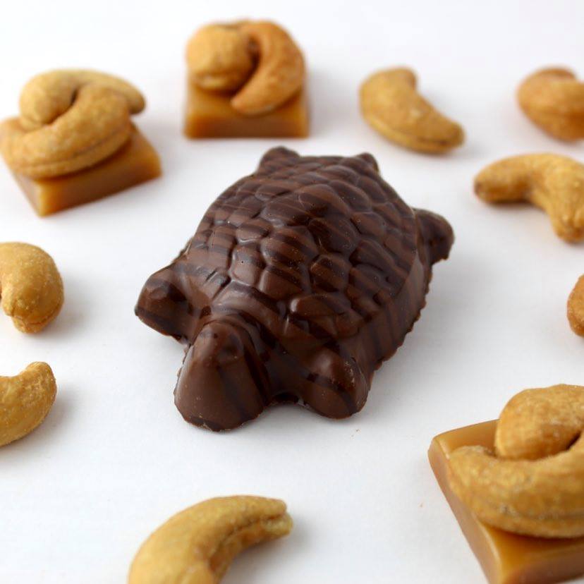 Cashew Turtles