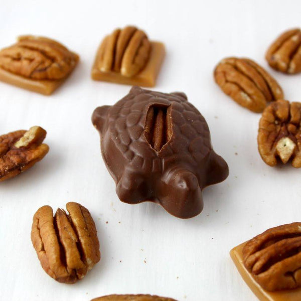 Pecan Turtles
