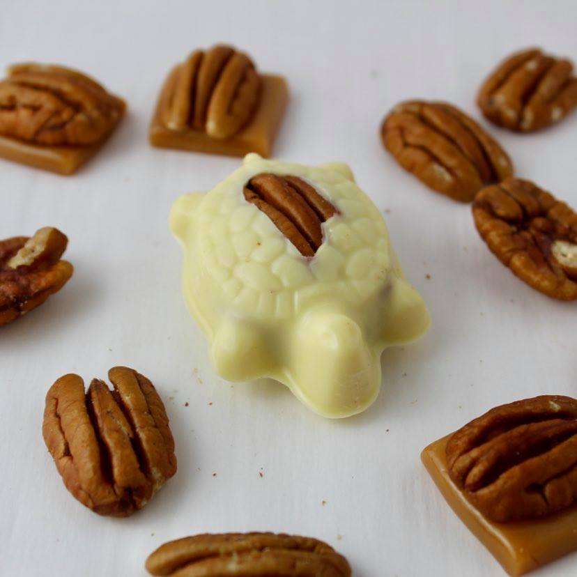 Pecan Turtles